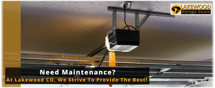 Garage Door Maintenance Lakewood CO